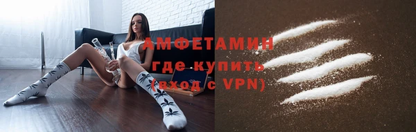 прущие грибы Балабаново