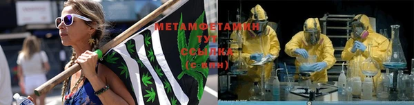 прущие грибы Балабаново