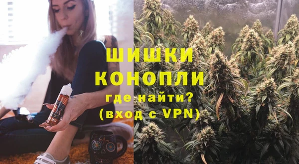 прущие грибы Балабаново