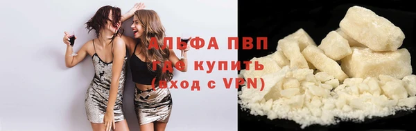 прущие грибы Балабаново