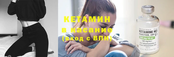 прущие грибы Балабаново