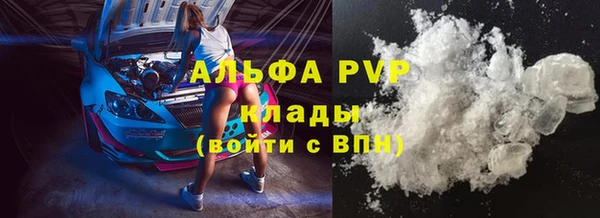 прущие грибы Балабаново
